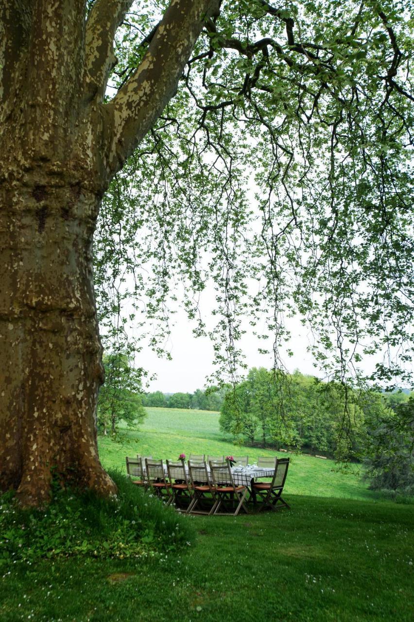 Chateau D'Orion Dış mekan fotoğraf